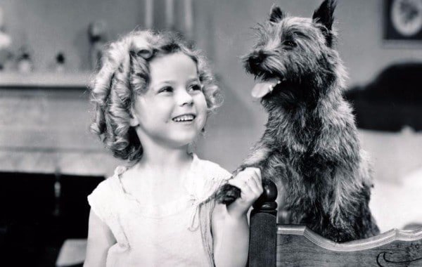 Please Come Play Shirley Temple | 
