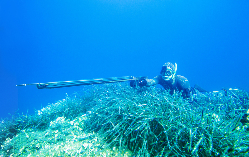 The History of Spearfishing | Shutterstock