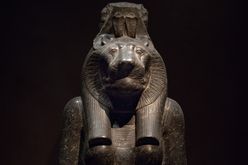 Surprising Mummified Discoveries Unearthed in Egypt | Shutterstock
