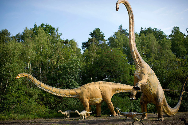 New Dinosaur Discoveries: Eggs, Embryos, Teeth, and Much More | Getty Images Photo by Alexander Koerner