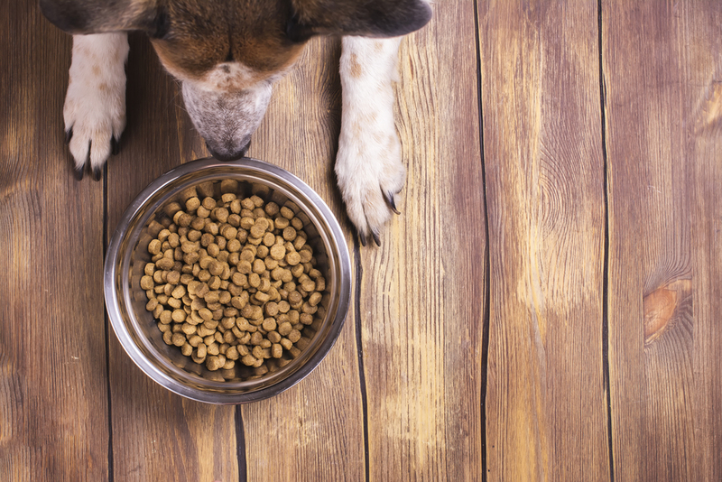 Pet Food | Shutterstock