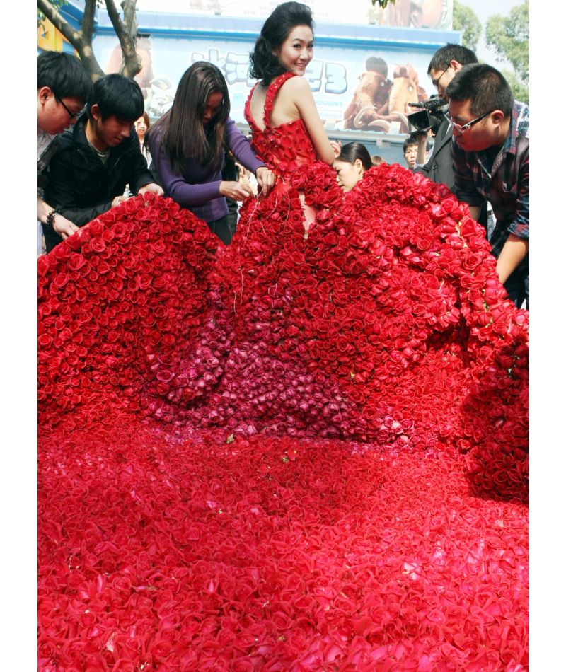 Rose Princess | Alamy Stock Photo by Imaginechina Limited 
