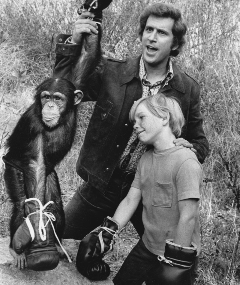 Me and the Chimp | Alamy Stock Photo by Archive PL 