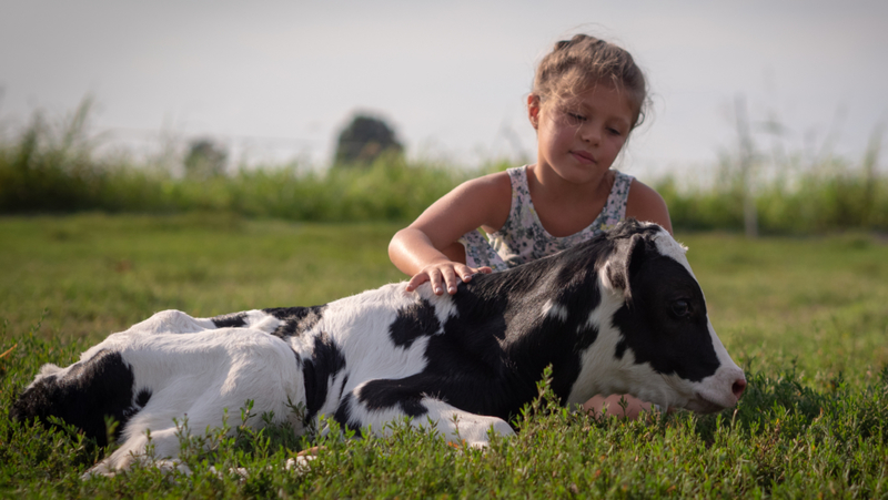 Kids & Calves | Shutterstock