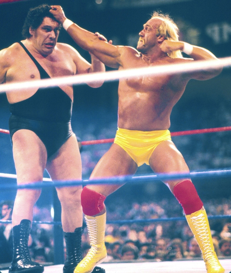 Hulk Hogan Took Notes of Fights with André the Giant | Getty Images Photo by Jeffrey Asher