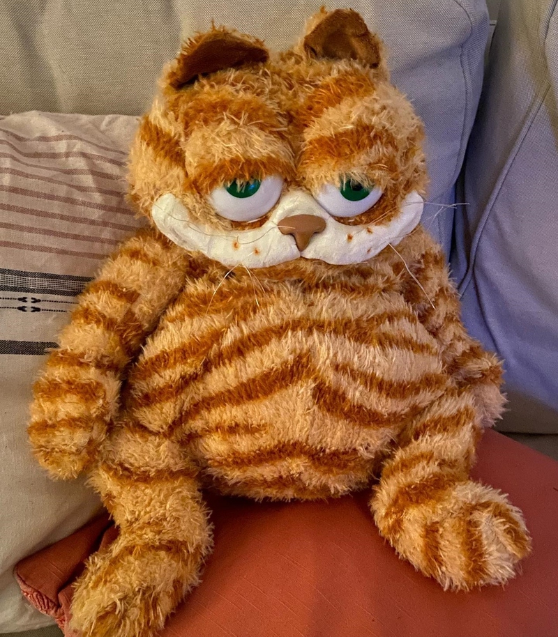 Is That Garfield? | Instagram/@cmason0203
