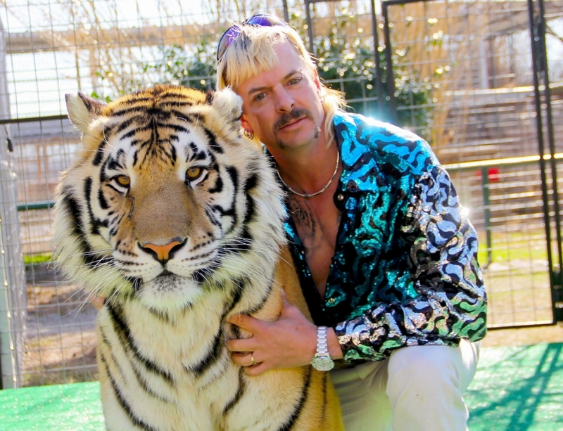 Tiger King (Best) | Alamy Stock Photo
