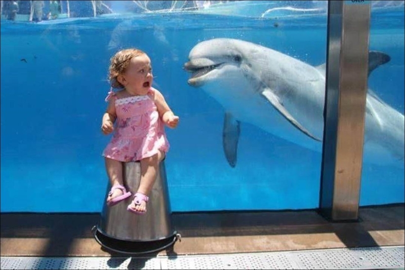 Baby Meet Dolphin | Imgur.com/pS1mS
