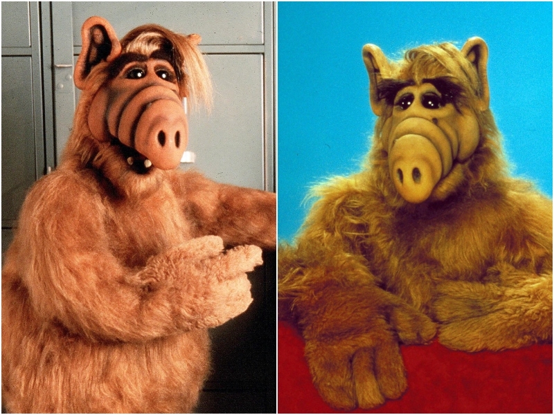 ALF | Alamy Stock Photo by Allstar Picture Library Limited & Maximum Film