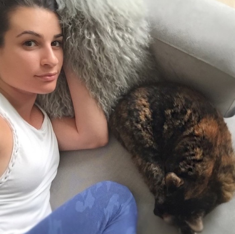 Lea Michele: Six Kittens | Instagram/@leamichele
