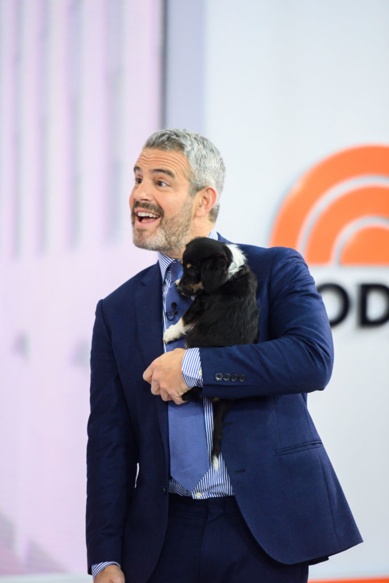 Andy Cohen: Wacha | Getty Images Photo by Nathan Congleton/NBC