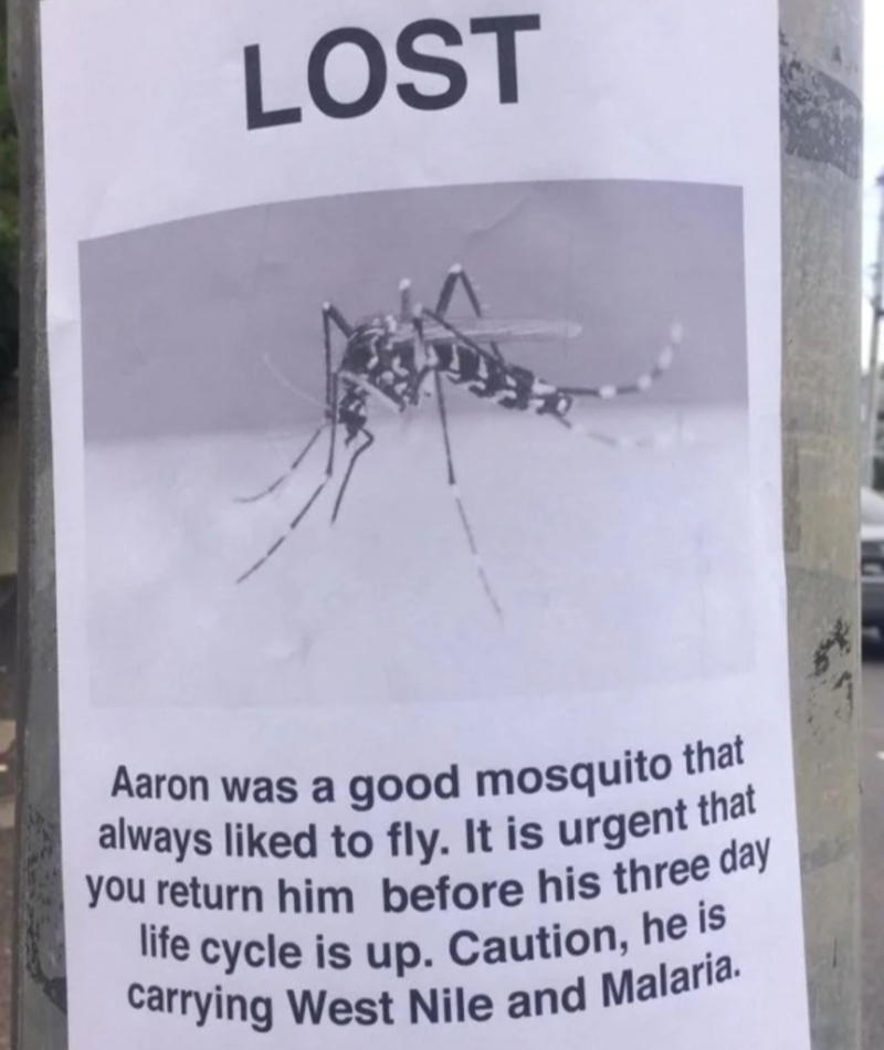 Limited Time To Find Aaron | Reddit.com/renneyman123