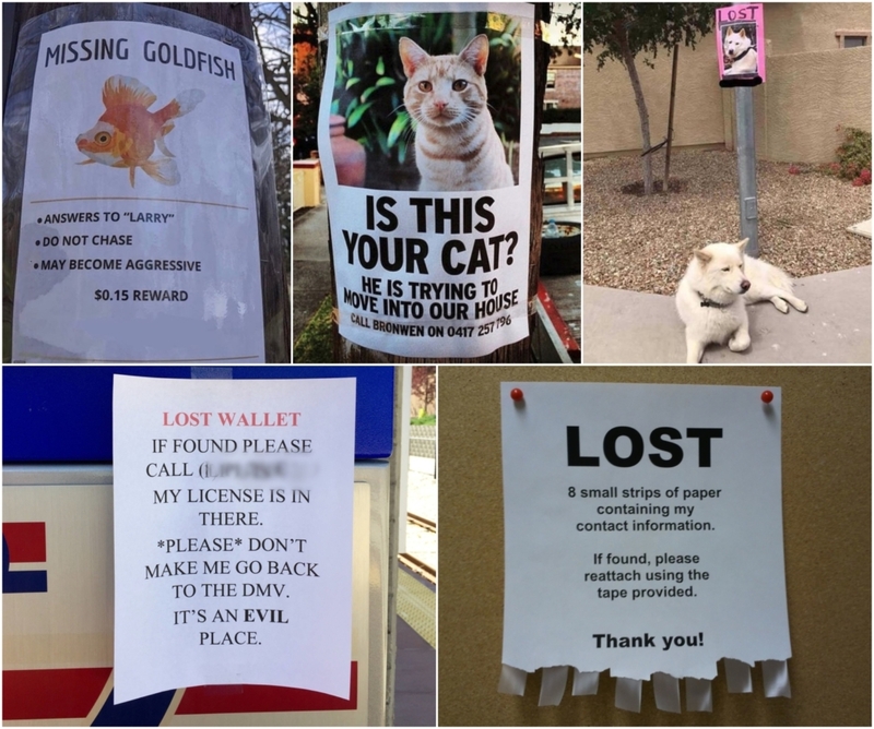 Even More Funny Lost and Found Signs That Are Worth Stopping For | Imgur.com/QjIAMQ3 & Reddit.com/the_perfect_answer & anxiousRXtech & Zammandu & TheJusticeMoose