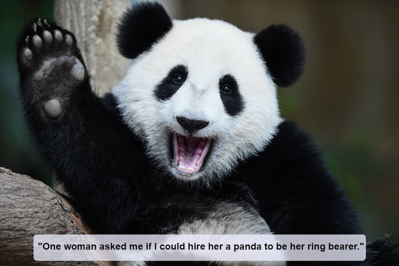 The Ring Bear-er | Shutterstock
