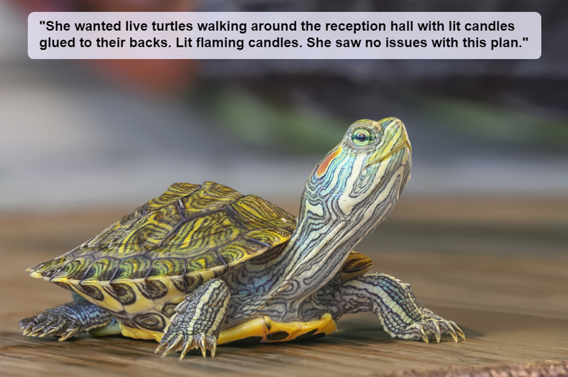 Turtle Tears | Shutterstock