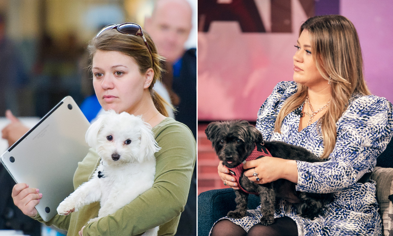 Kelly Clarkson: Lots of Dogs | Getty Images Photo by GVK/Bauer-Griffin/GC Images & Weiss Eubanks/NBCUniversal