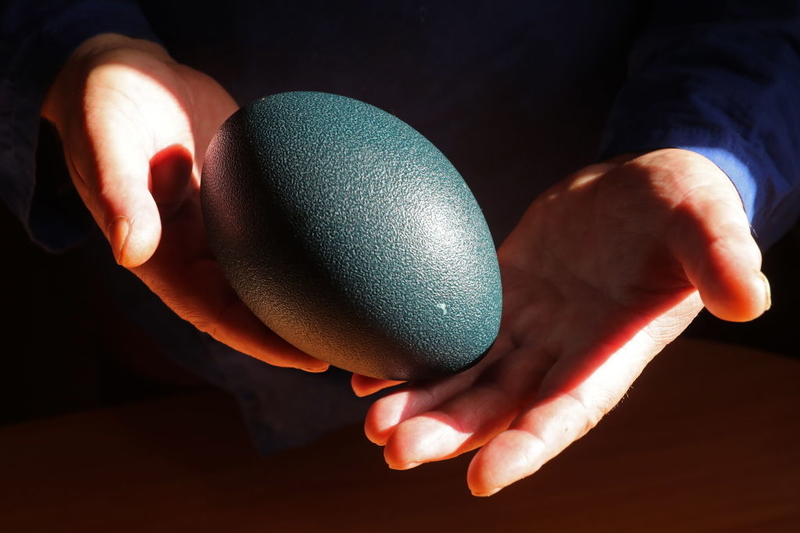 An Emu Egg | Getty Images Photo by Alexander Demianchuk