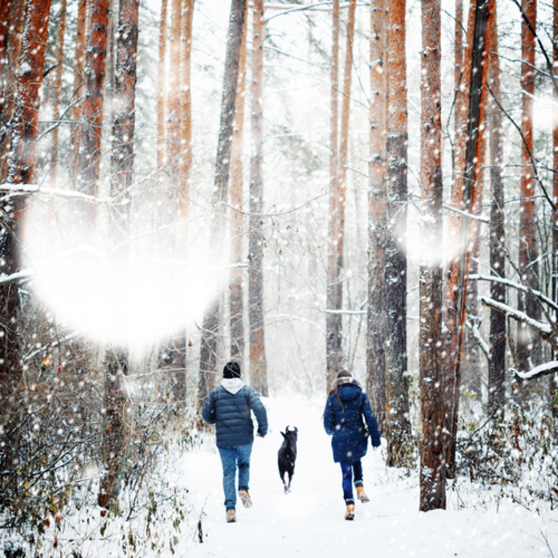 Why Outdoor Winter Exercise Is Good for You | Shutterstock