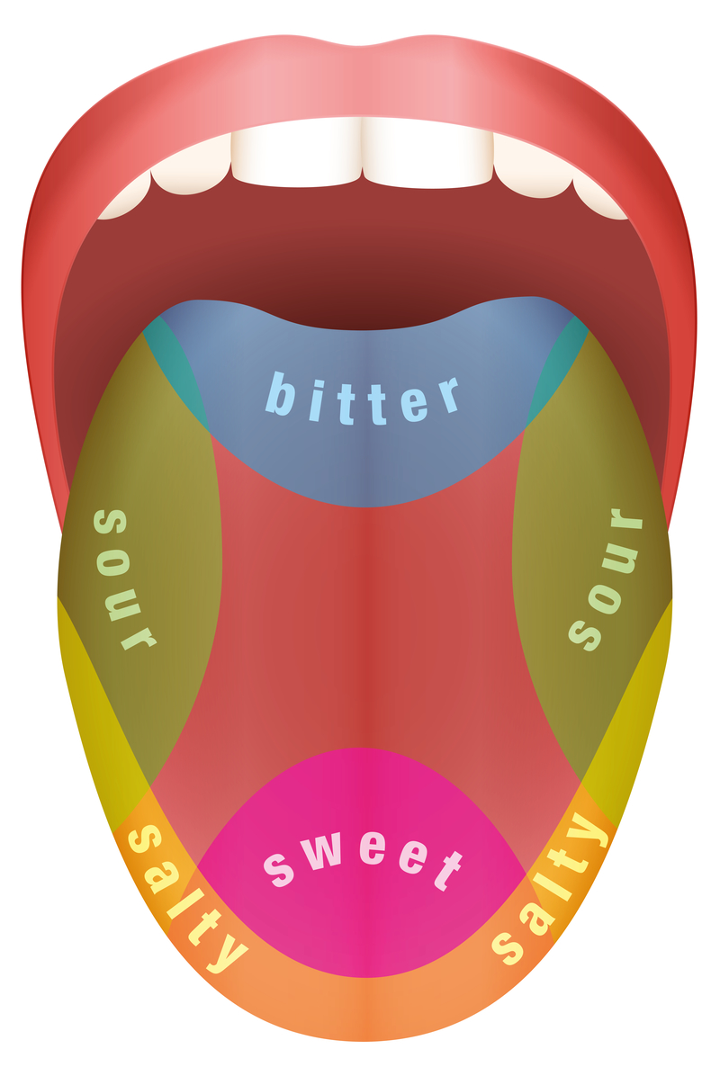 Different Parts of Your Tongue Taste Different Flavors | Shutterstock