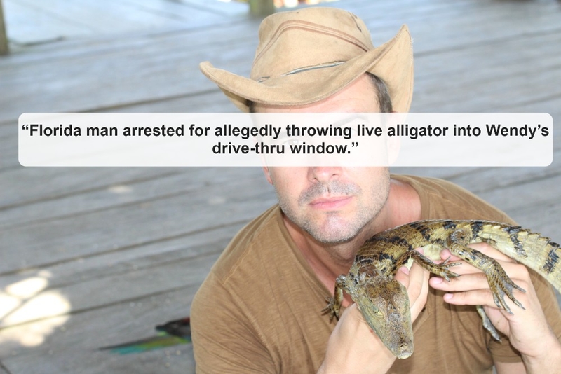 Alligators at Wendy's? Sounds Like a Wednesday | Shutterstock