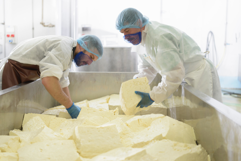 South Dakota Requires Maximum Alertness Around Cheese | Alamy Stock Photo