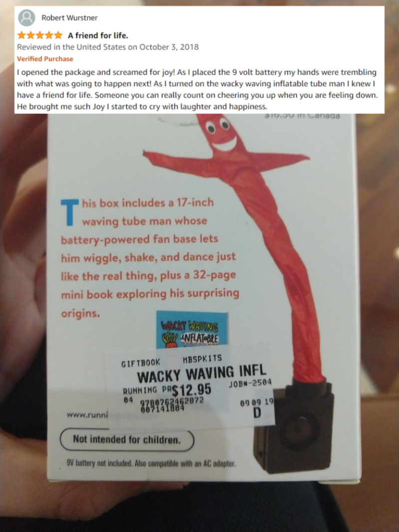Wacky Waving Inflatable Tube Guy | Reddit.com/HappyFireball2013