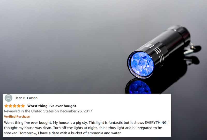 UV Flashlight Black Light, Vansky 51 LED Blacklight Pet Urine Detector for Dog/Cat Urine | Getty Images Photo by FreedomMaster