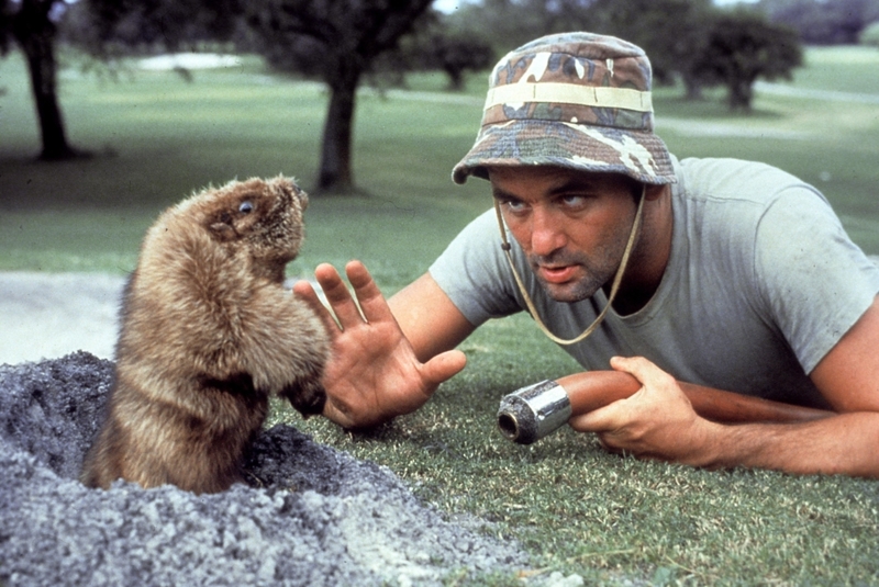 Caddyshack | Alamy Stock Photo by Allstar Picture Library Limited.
