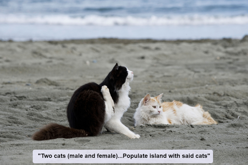 A Catty Island | Alamy Stock Photo
