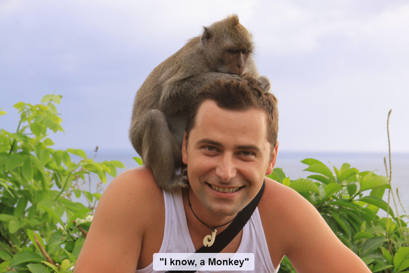 Monkey Madness | Alamy Stock Photo