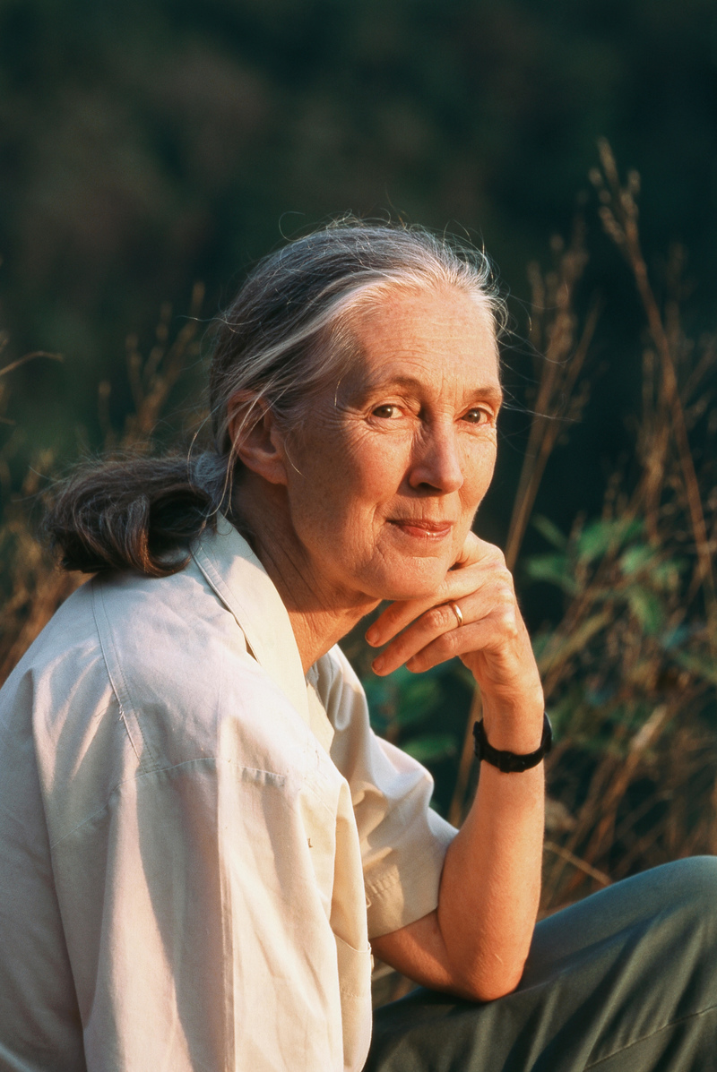 Jane Goodall | Alamy Stock Photo