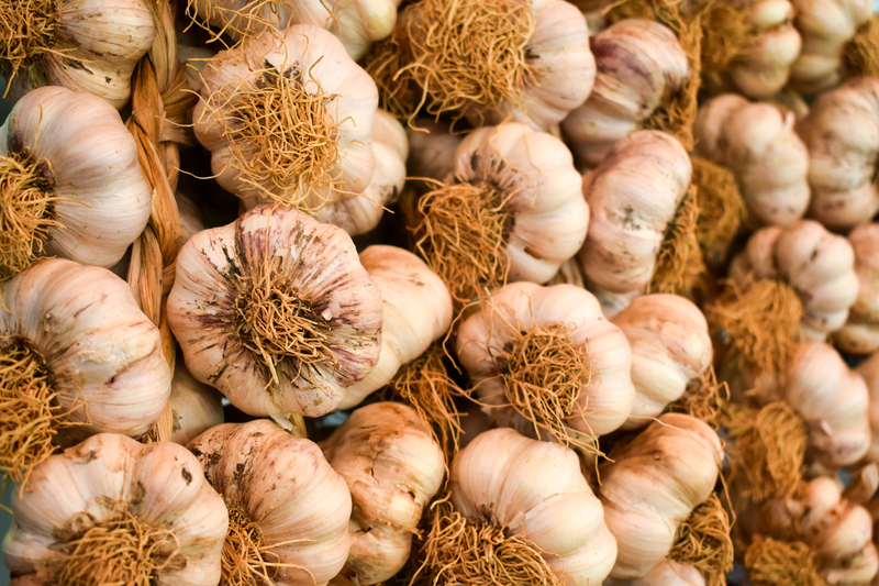 Garlic | Alamy Stock Photo