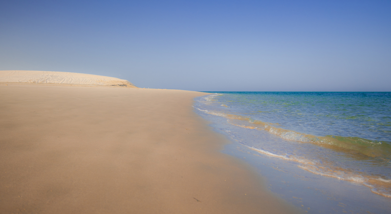 Wo sich Wüste und Meer treffen | Shutterstock