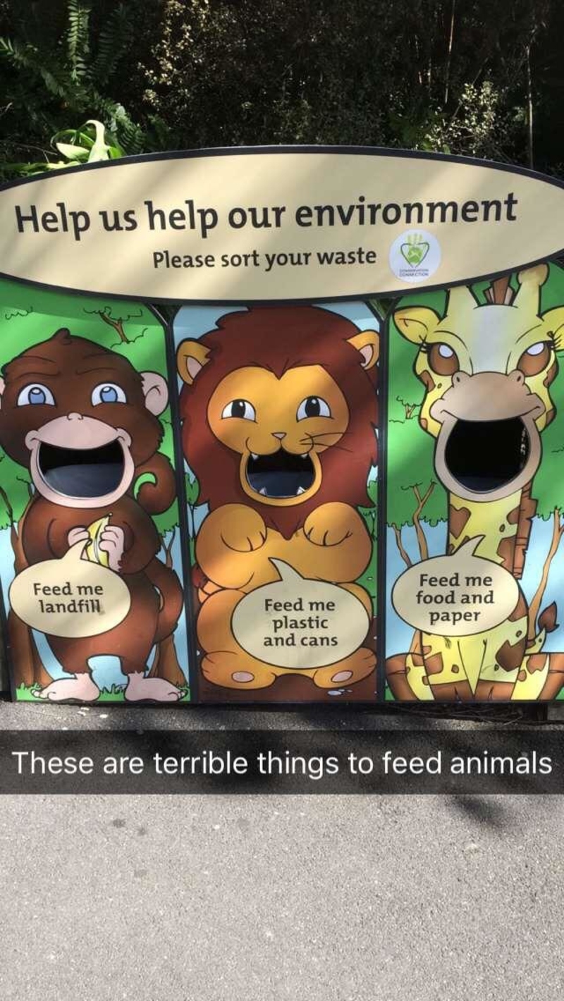 Zoo Got It Wrong | Reddit.com/FinnMac93