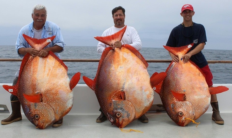 Sagen Sie “Fisch” | Facebook/@ExcelSportfishing