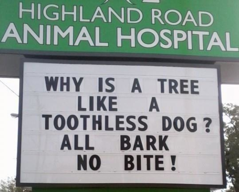 Not Every Dog | Facebook/@HighlandRoadAnimalHospital