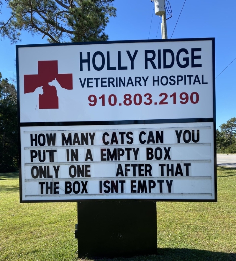 Cats and Carboard Boxes — a Love Story | Facebook/@HollyRidgeVet