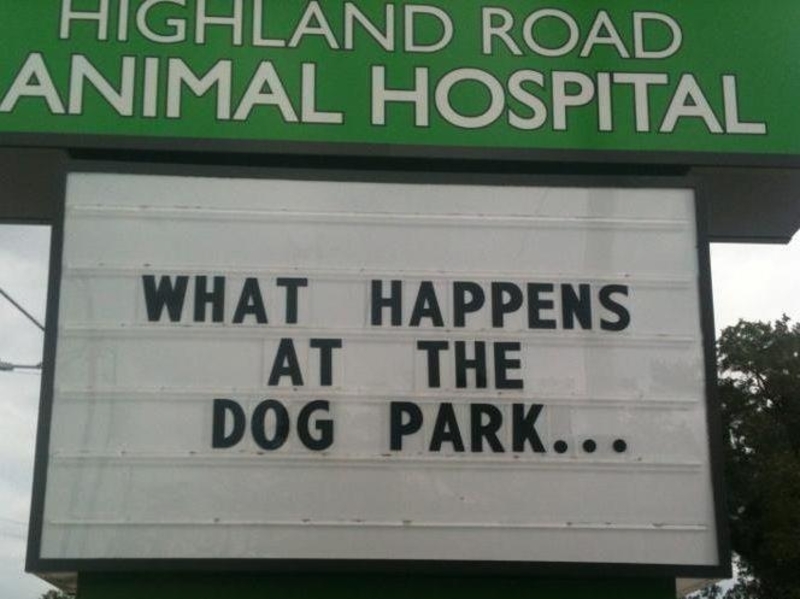 Dog Parks Have a Reputation | Facebook/@HighlandRoadAnimalHospital