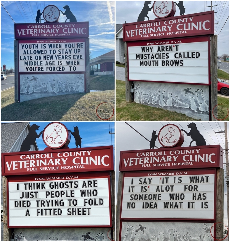 These Funny Vet Signs Will Brighten Your Day | Facebook/@carrollcovet