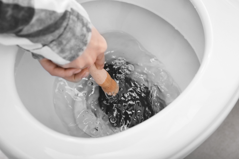 Unclog Your Toilet | Shutterstock