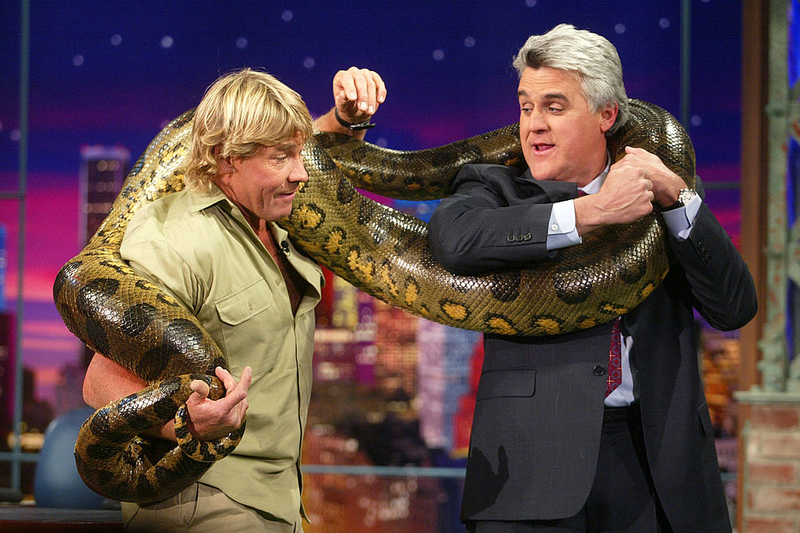 The Crocodile Hunter Never Carried Antivenom | Getty Images Photo by Kevin Winter