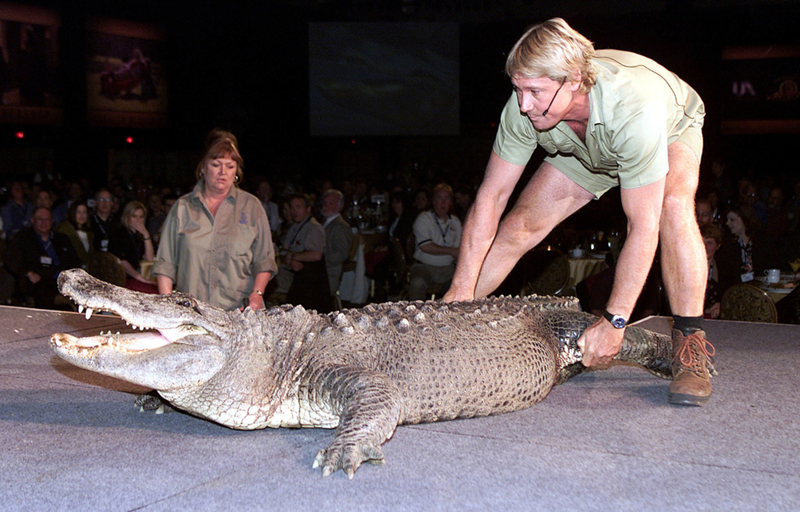‘The Crocodile Hunter’ Made Steve Famous in America | Alamy Stock Photo