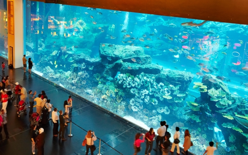 Das größte Aquarium der Welt | Alamy Stock Photo