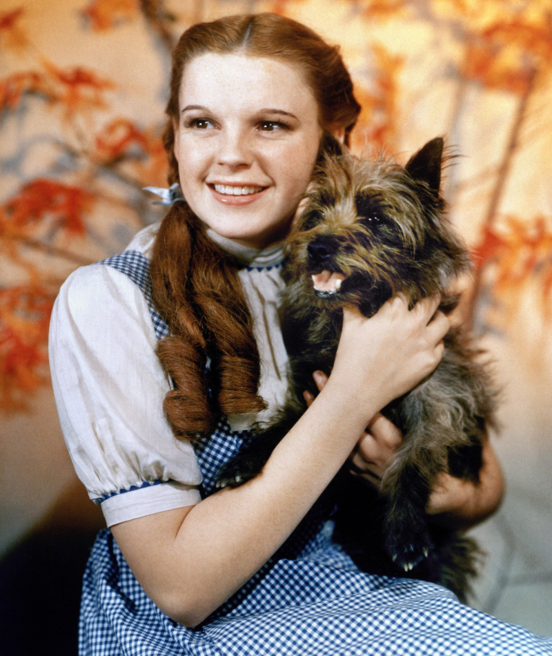 Dorothy | Alamy Stock Photo by GRANGER - Historical Picture Archive/NYC.