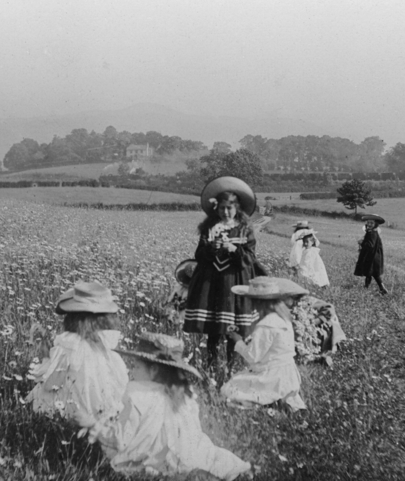 Children in a Meadow | Getty Images Photo by The Print Collector