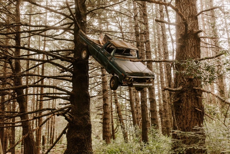 Parking in the Woods | Reddit.com/folly136