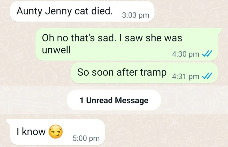 Mom, Did You Kill Jenny's Cat? | Reddit.com/Vharlkie