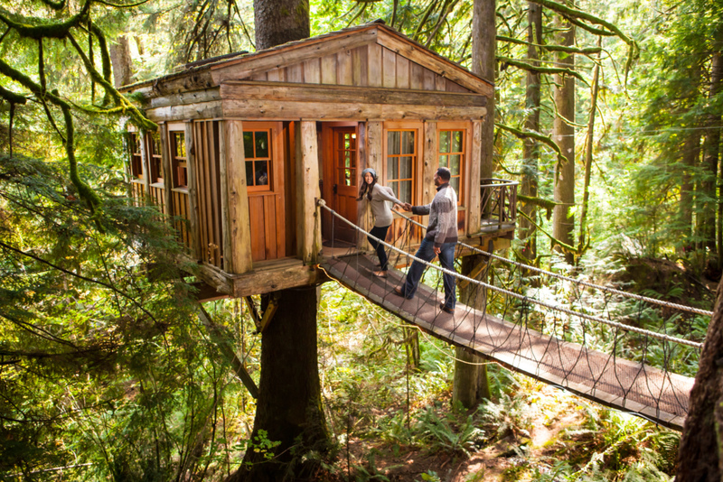 Tree-House For Grown-Ups | Alamy Stock Photo