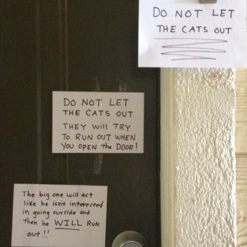 3 Signs for Cat Safety | Imgur.com/wMO73m2