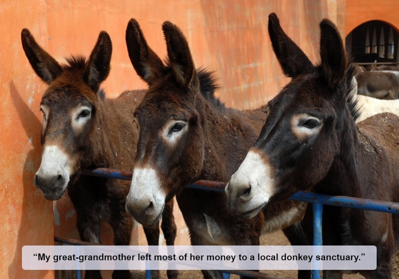 All for the Donkeys | Alamy Stock Photo by Josie Elias